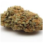 Шишки AK47 (Гидропоника, Бошка) VHQ в Ревде Шишки AK47 (Гидропоника, Бошка) VHQ в Ревде